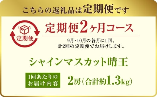 【定期便 全2回／2026年9・10月発送】 岡山県産シャインマスカット 晴王 2房 約1.3kg｜2回定期便 9月10月に1回づつ発送 種無し 皮ごと食べる 旬の美味しさ フレッシュ 先行予約 ハレノフルーツ