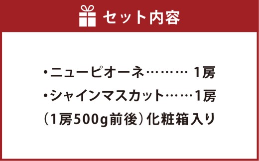 ニューピオーネ1房・シャインマスカット1房