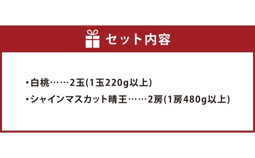 【先行予約】岡山県産 詰合せ/白桃2玉とシャインマスカット『晴王』2房 化粧箱入り【2026年7月下旬～8月上旬まで順次発送予定】【もも 桃 白桃 シャインマスカット 果物 フルーツ 国産 人気 おすすめ 岡山県 倉敷市】