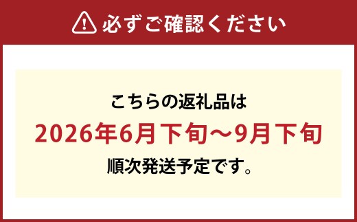 もっとも旬な品種の桃をお届け 岡山の桃 2kg