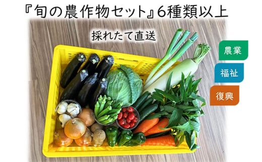 【思いやり型返礼品】倉敷市真備町みんな農園旬の農産物セット【農産物 野菜 農園 新鮮 畑 やさい 美味しい おいしい 真備町 岡山県 倉敷市 おすすめ 人気】