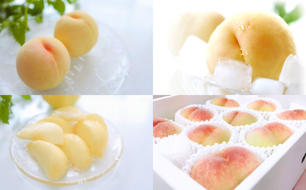 【先行予約】岡山白桃 約1.5kg（6玉前後）【2026年7月上旬～7月下旬迄順次発送予定】【もも 桃 清水白桃 白桃 果物 フルーツ 国産 人気 おすすめ 岡山県 倉敷市】