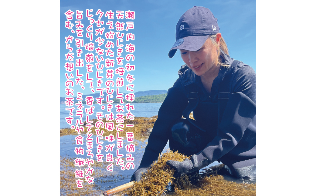 焙煎 ひじき茶 瀬戸内ぽたり 約2g×14パック×2セット 28パック お茶 健康茶 美容茶 ノンカフェイン カフェインレス ダイエット茶 デトックス茶 鉄分補給 食物繊維 腸活 美肌習慣 ミネラル豊富 瀬戸内産 焙煎ひじき茶 キャスミン監修