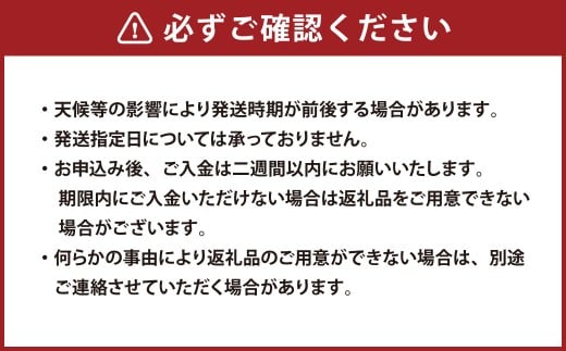岡山匠の白桃 約2.4kg 7～9玉 ギフト