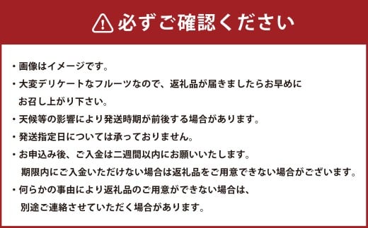岡山県産桃太郎ぶどう1房・クイーンニーナ1房