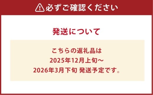 いちご おまかせ 4パック 箱詰め 約1080g 倉敷産 イチゴ いちご 苺 フルーツ 果物 詰め合わせ セット【2025年12月上旬～2026年3月下旬迄順次発送予定】