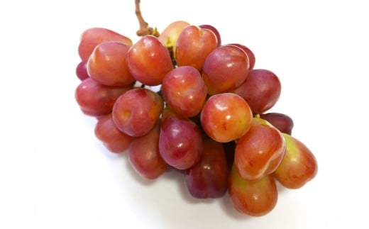 岡山県産マイハート 1房