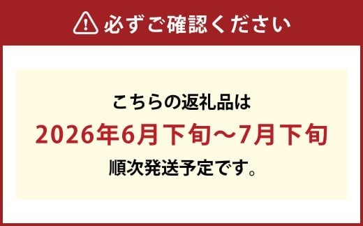 《ご家庭用》 岡山の白桃 （早生種） 5～6玉 （合計約1.3kg） 桃 もも モモ 白桃 くだもの 果物 国産フルーツ 国産 岡山県 倉敷市 【2026年6月下旬～7月下旬迄順次発送予定】