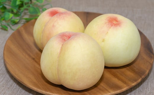 倉敷の白桃 7～8玉 約2kg 浅原選果場から直送でお届け【2025年7月上旬-8月下旬 発送予定】