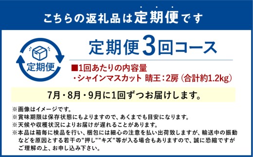 シャインマスカット 晴王 2房 約1.2kg 3回定期便