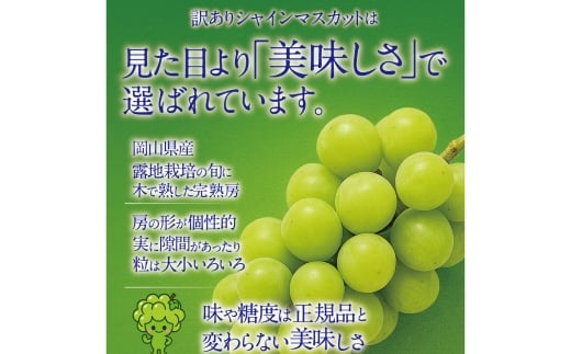 【 先行予約 】 訳あり 木熟ぶどう ハレノシャイン シャインマスカット 2房 約1.2kg
