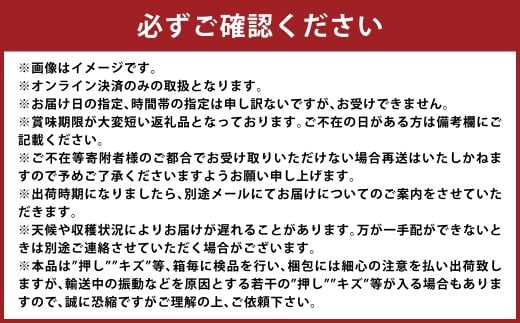 清水白桃 2キロ