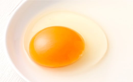 うぶこっこ家 たまご食べ比べセット 5種類 各6個 合計30個 希少卵 たまご 卵 玉子【2025年9月上旬-2026年3月上旬 発送予定】