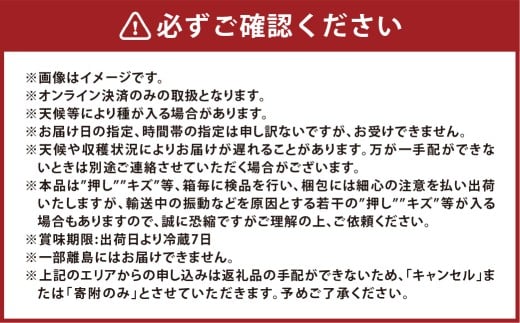 ニューピオーネ1房・シャインマスカット1房