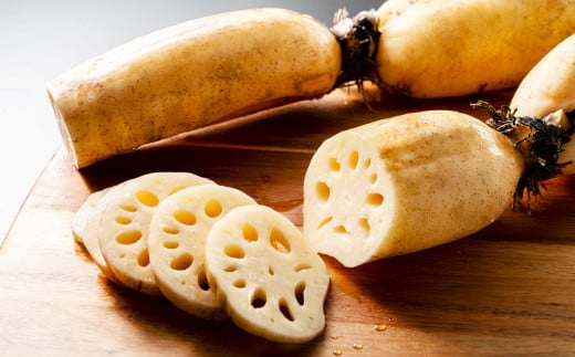 連島れんこん 家庭用 2節もの 5kg 【2025年9月上旬-2026年4月下旬 発送予定】