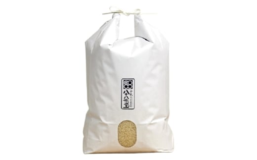 【令和7年産】岡山倉敷市産 特別栽培米 きぬむすめ 10kg【お米 米 きぬむすめ 国産 岡山県 倉敷市 人気 おすすめ】