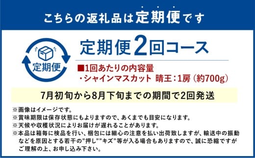 シャインマスカット 晴王 1房 約700g 2回 定期便
