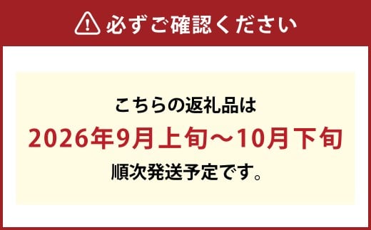葡萄詰合せ（シャインマスカット晴王 2房（1房 580g以上）・ニューピオーネ 2房（1房 580g以上） 露地栽培【2026年9月上旬～10月下旬まで順次発送予定】ぶどう 葡萄 ブドウ ピオーネ マスカット フルーツ