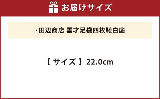 雲才足袋四枚馳白底【22.0cm】