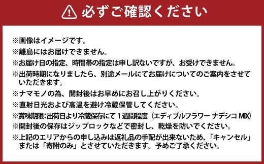 エディブルフラワーナデシコMIX（20輪入り）2種4パックセット【食べられるお花 栽培期間中 農薬不使用】