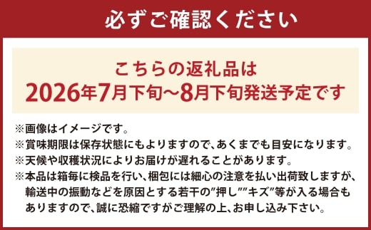 シャインマスカット 晴王 2房 約1.2kg