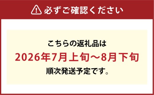 温室 シャインマスカット 晴王 2房 約1.4kg