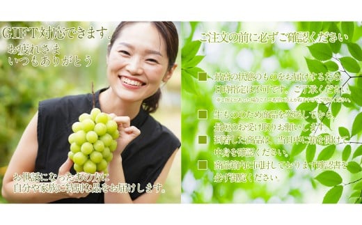 赤秀ぶどう プレミアム シャインマスカット 晴王 1房 約600g