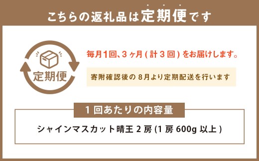 岡山県産 シャインマスカット 晴王 2房（1房600g以上） 3回定期便【2026年8月下旬～10月下旬まで順次発送予定】【シャインマスカット 果物 フルーツ 国産 人気 おすすめ 岡山県 倉敷市】