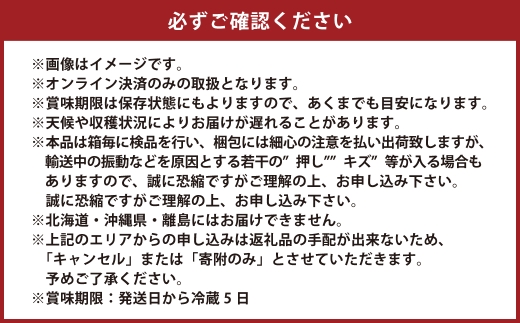 岡山県産 シャインマスカット 晴王 2房 約1.4kg【2026年9月上旬-10月下旬 発送予定】｜種無し 皮ごと食べる 旬の美味しさ フレッシュ 先行予約 ハレノフルーツ