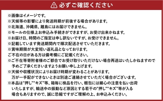 岡山白桃 エース3玉×約200g 計約600g 岡山県産 【2026年7月上旬～8月下旬まで順次発送予定】 モモ もも 桃 白桃 果物 フルーツ 岡山県 倉敷市