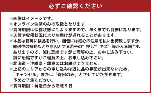 岡山県産 シャインマスカット 晴王 2房 約1.3kg【2026年9月上旬-10月下旬 発送予定】｜種無し 皮ごと食べる 旬の美味しさ フレッシュ 先行予約 ハレノフルーツ
