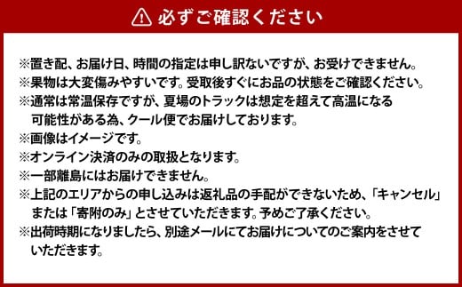 果物詰合せ 合計約1.0kg（白桃（晩生種）2玉・シャインマスカット 1房）岡山 白桃 シャインマスカット セット 詰め合わせ ギフト 贈り物 フルーツ 果物 白麗 瀬戸内白桃【2026年8月下旬～9月下旬 発送予定】