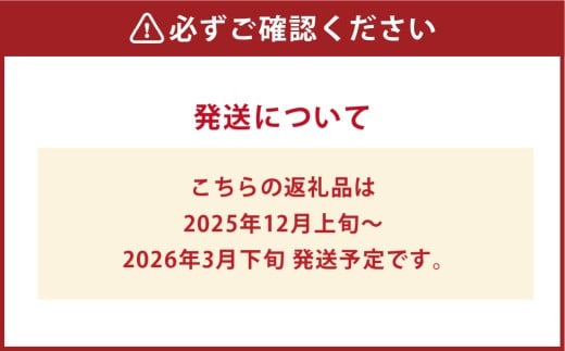 特選いちご 化粧箱入り 2パック 約900g 倉敷産 イチゴ いちご 苺 フルーツ 果物 詰め合わせ セット【2025年12月上旬～2026年3月下旬迄順次発送予定】