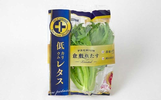 倉敷産 低カリウム レタス 8パックセット【野菜 レタス パックセット 栄養 岡山県 倉敷市 おすすめ 人気】