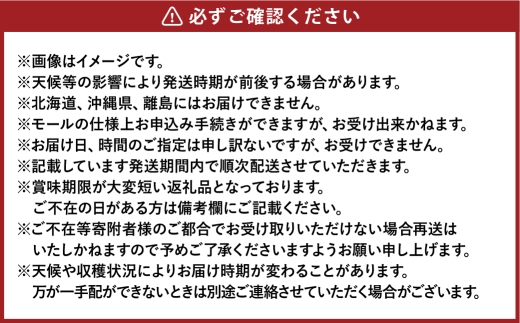ご家庭用 シャインマスカット 晴王 約400g×2房 計約800g【2026年8月下旬～11月下旬まで順次発送予定】 マスカット 葡萄 ぶどう ブドウ 果物 フルーツ 岡山県 倉敷市