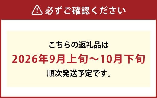 【無加温栽培】岡山県産桃太郎ぶどう1房入り（1房680g以上）【ぶどう 葡萄 人気フルーツ 岡山フルーツ おすすめフルーツ 岡山県 倉敷市】【2026年9月上旬～10月下旬 発送予定】