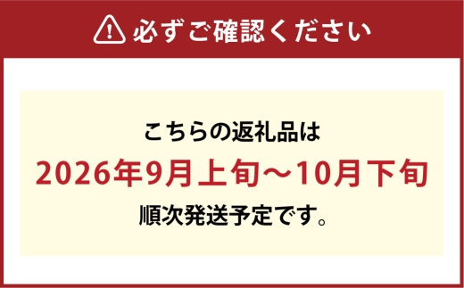 [HS]ぶどう シャイン マスカット 晴王 1房 約750g