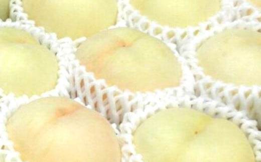 岡山県産冬桃がたり6個入り