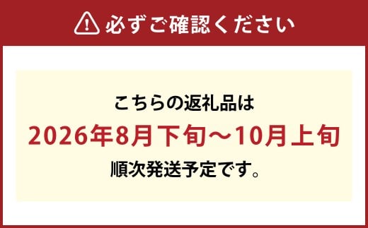 【先行予約】岡山県産 詰合せ ニューピオーネ 1房とシャインマスカット『晴王』 1房 化粧箱入り【2026年8月下旬～10月上旬まで順次発送予定】【シャインマスカット 果物 フルーツ 国産 人気 おすすめ 岡山県 倉敷市】