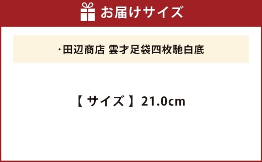 雲才足袋四枚馳白底【21.0cm】