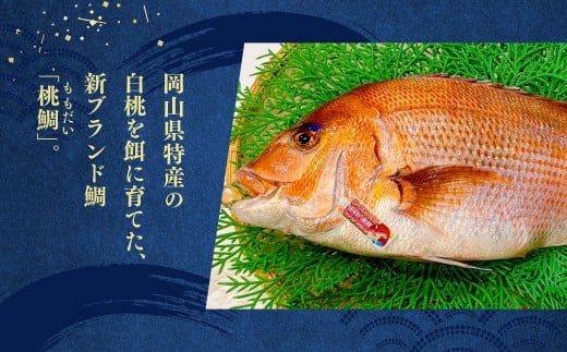岡山ブランド魚 桃鯛 厚切り しゃぶしゃぶセット