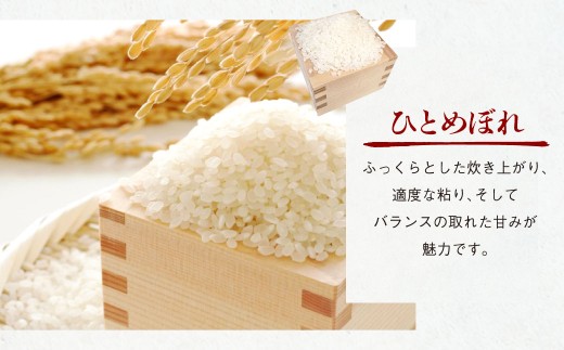 ひとめぼれ 10kg（5kg×2袋）