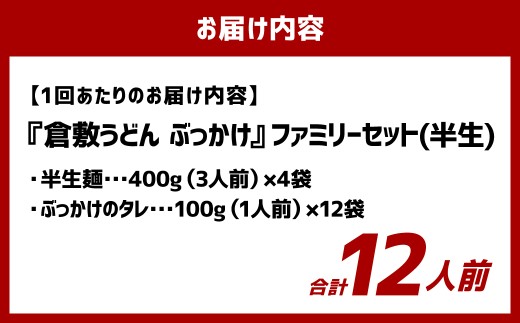 【3ヶ月定期便】『倉敷うどん ぶっかけ』ファミリーセット(半生) 12人前×3回 うどん 麺類 麺 半生 半生麺 ぶっかけうどん タレ つゆ 岡山県 倉敷市