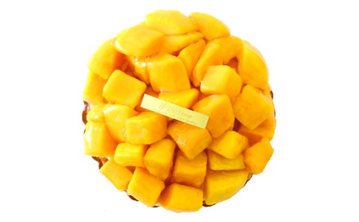 究極のデザート マンゴータルト 5号