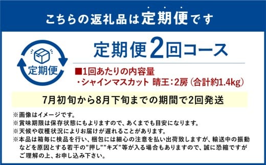 シャインマスカット 晴王 2房 約1.4kg 2回 定期便