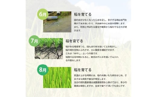 にこまる 5kg×2袋 計10kg