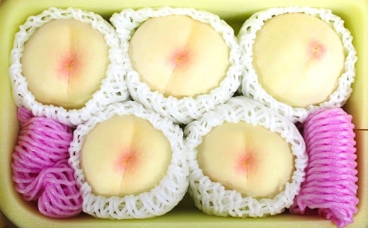 井頭栄果園 白桃 約1.3kg