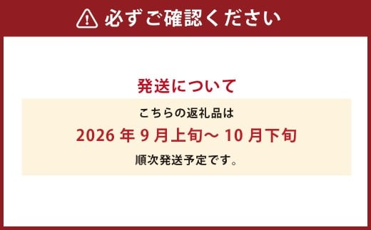 葡萄詰合せ（シャインマスカット晴王 1房（580g以上）・ニューピオーネ 1房（580g以上）露地栽培【2026年9月上旬～10月下旬まで順次発送予定】葡萄 ぶどう ブドウ ニューピオーネ ピオーネ マスカット フルーツ
