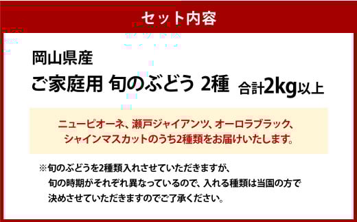 ご家庭用 旬のぶどう 2種（合計2kg以上）
