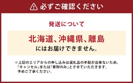 【先行予約】岡山県産 シャインマスカット 『晴王』 4房（1房480g以上）約2kg【2026年8月下旬～10月上旬まで順次発送予定】【シャインマスカット 果物 フルーツ 国産 人気 おすすめ 岡山県 倉敷市】